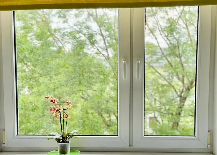 Little London One Boutique Netflix Tv Old Town *